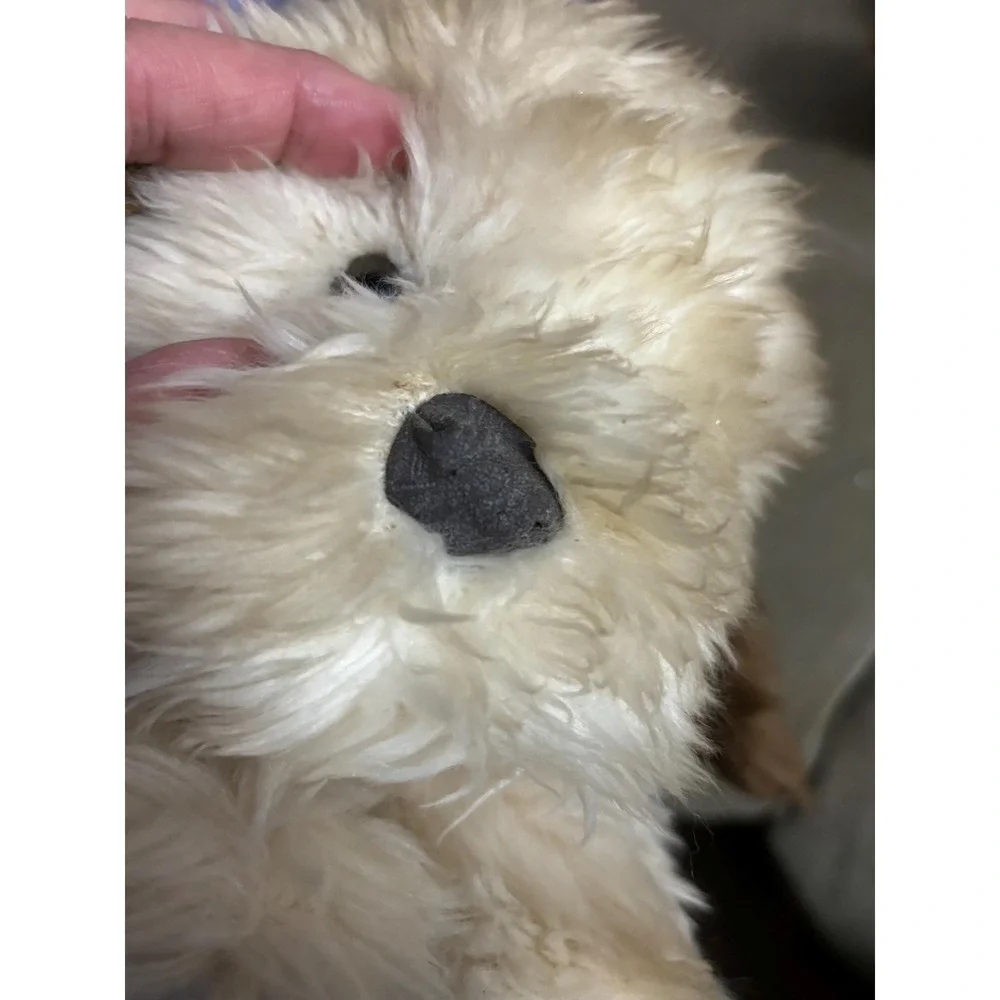 Tan dog unbranded vintage sleeping puppy